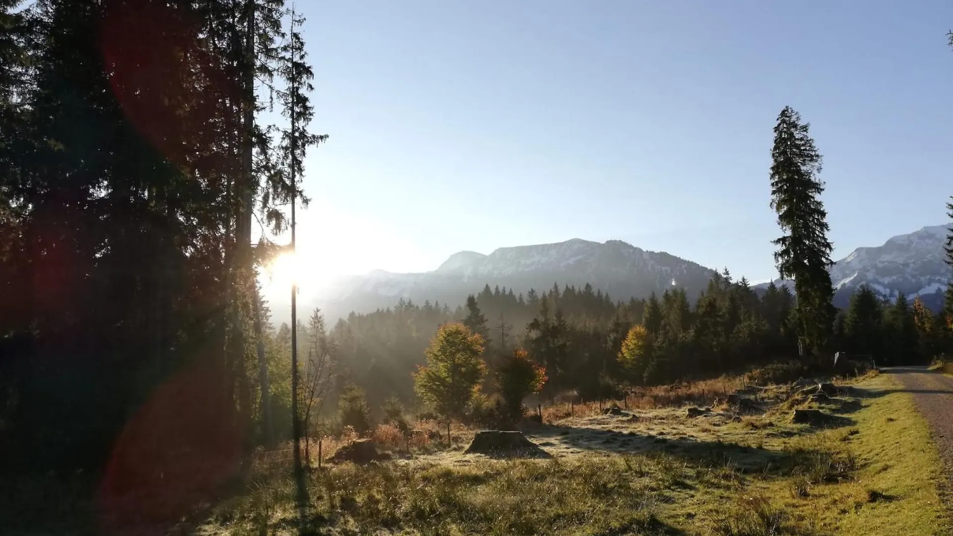 Ferienwohnung Ott Halblech